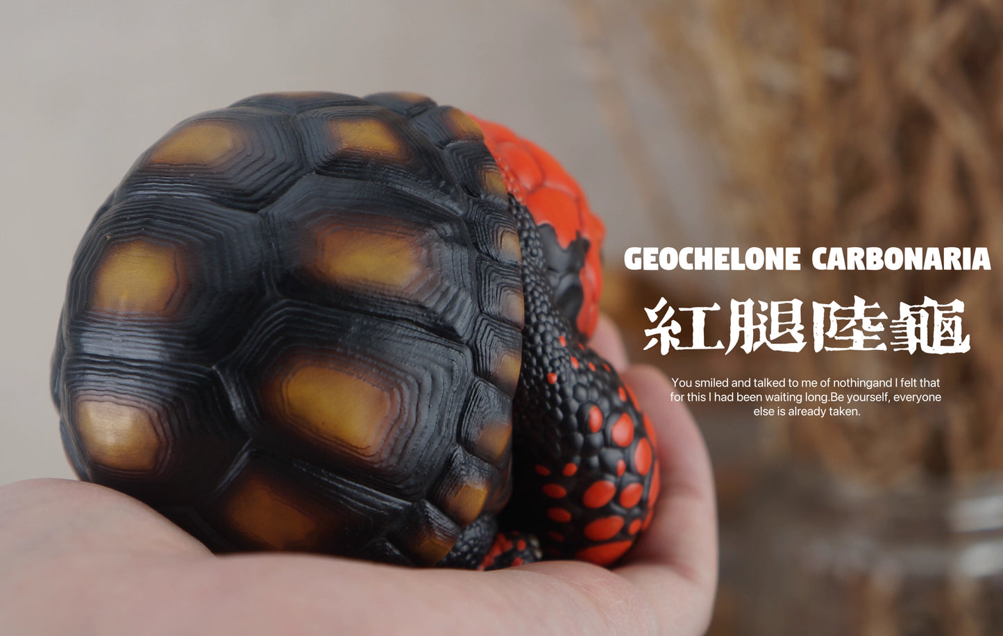 Super Q Red footed tortoise turtle Resin Replica Model Figurine Figure
