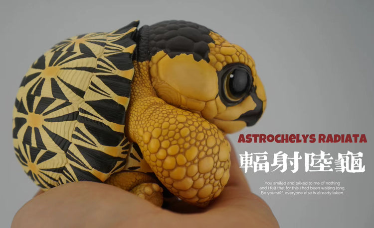 Super Q Radiated tortoise turtle Resin Replica Model Figurine Figure (pre-order)