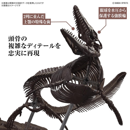 Japan 1/32 Imaginary Skeleton Dinosaur  Mosasaurus Model Kit