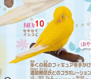 Retired Japan SHINEG Sleeping Love Bird Parrot Bird PVC mini figure figurine Model D