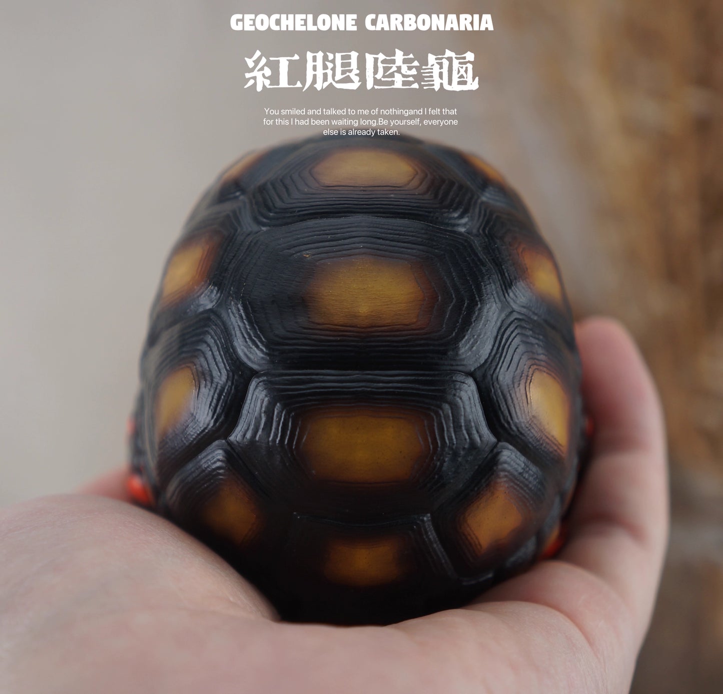Super Q Red footed tortoise turtle Resin Replica Model Figurine Figure