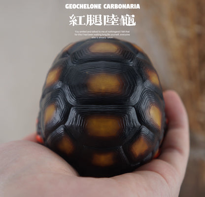 Super Q Red footed tortoise turtle Resin Replica Model Figurine Figure
