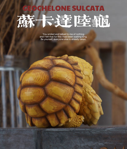 Super Q African Sulcata tortoise turtle Resin Replica Model Figurine Figure (Pre-order)