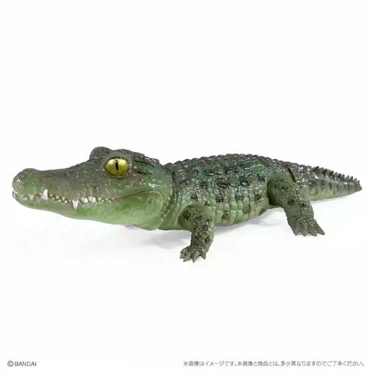 Japan Q Nile Crocodile (Green) PVC Action Figure model with 7 joints