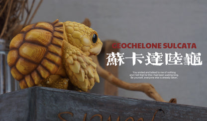 Super Q African Sulcata tortoise turtle Resin Replica Model Figurine Figure (Pre-order)