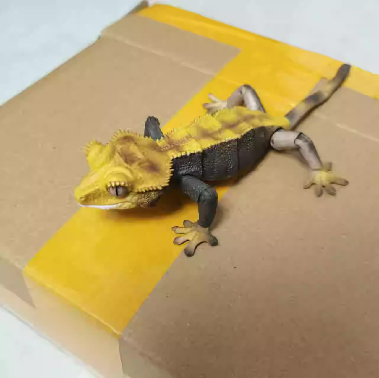 Japan Crested gecko (Bicolor) lizard PVC Action Figure model with 26 joints