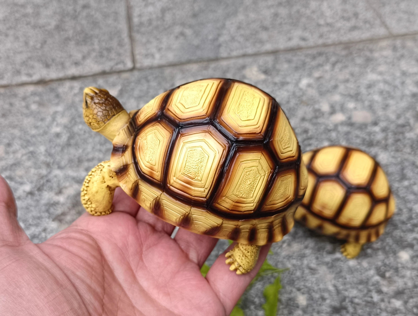 Angonoka Tortoise Resin Replica Figure Model Figurine 11.5cm 2024