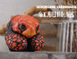 Super Q Red footed tortoise turtle Resin Replica Model Figurine Figure