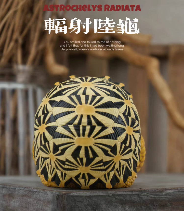 Super Q Radiated tortoise turtle Resin Replica Model Figurine Figure (pre-order)