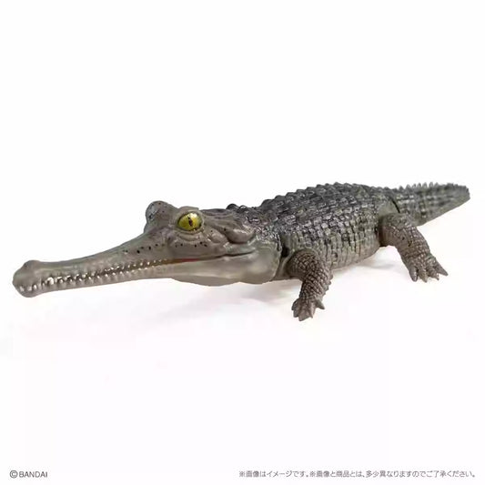 Japan Q Gharial Crocodile (Dark) PVC Action Figure model with 7 joints