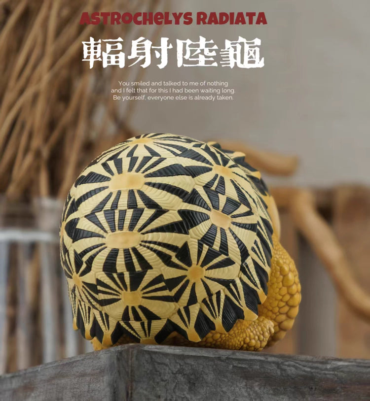 Super Q Radiated tortoise turtle Resin Replica Model Figurine Figure (pre-order)