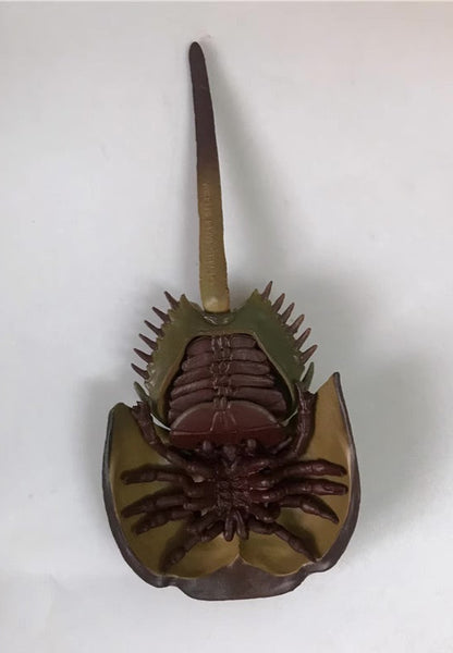 Japan Horseshoe crab animal PVC Action Figure Model with Joints