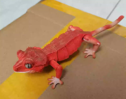 Japan Red Crested gecko (Patternless) lizard PVC Action Figure model with 26 joints