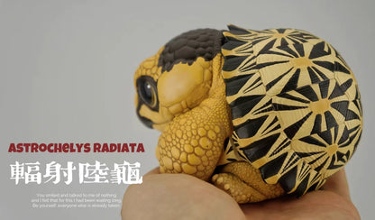 Super Q Radiated tortoise turtle Resin Replica Model Figurine Figure (pre-order)