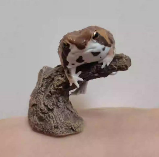 Bushveld rain frog Toad PVC mini figurine figure model ring with stand