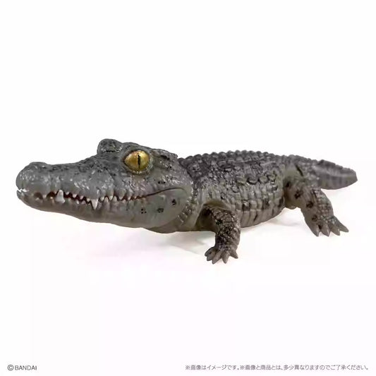 Japan Q Nile Crocodile (Dark) PVC Action Figure model with 7 joints
