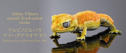 Japan Albino Pilbara smooth Knob-tailed Gecko lizard PVC Action Figure model with 24 joints