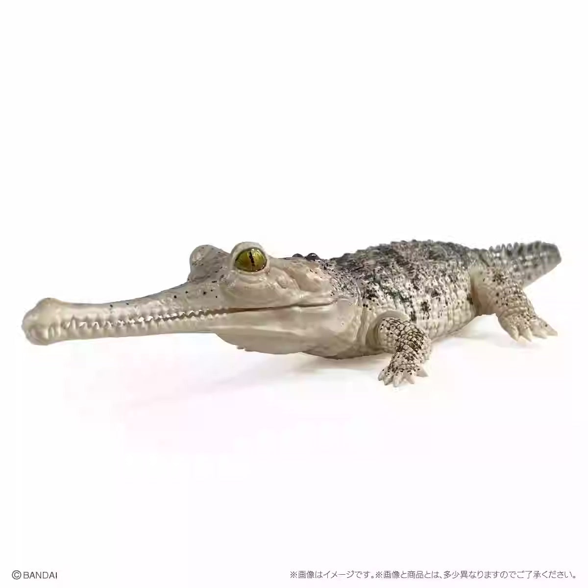 Japan Q Gharial Crocodile (Pale) PVC Action Figure model with 7 joints