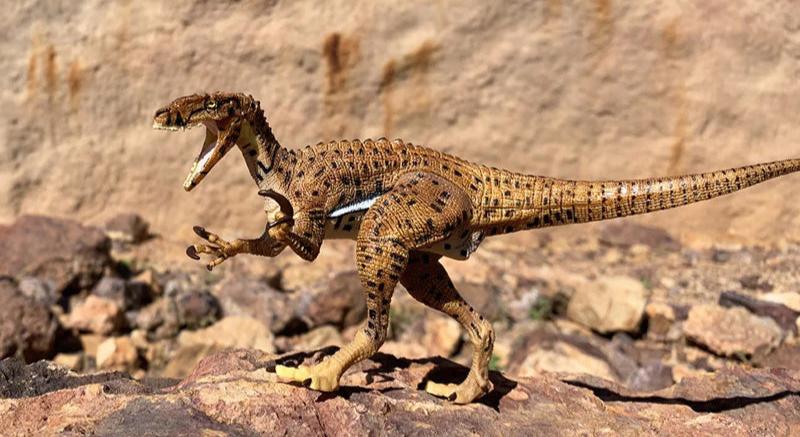 Australia Australovenator BANJO dinosaur museum excl. PVC Figure Model Figurine 19.5cm