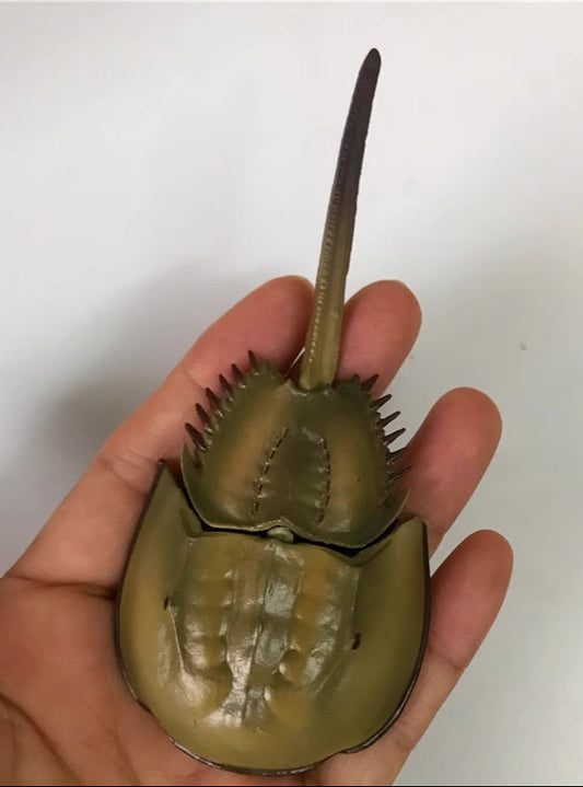 Japan Horseshoe crab animal PVC Action Figure Model with Joints