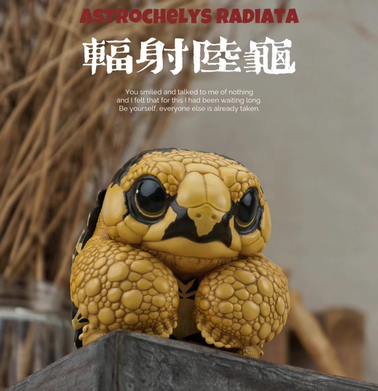 Super Q Radiated tortoise turtle Resin Replica Model Figurine Figure (pre-order)