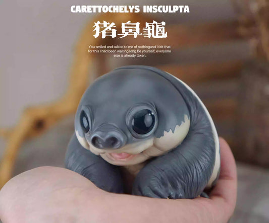 Super Q Pig nosed turtle Fly River turtle Resin Replica Model Figurine Figure
