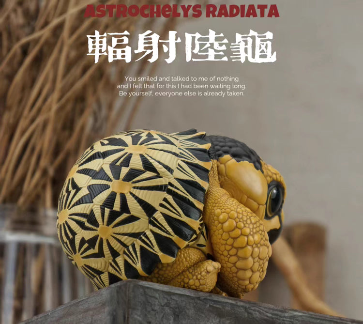 Super Q Radiated tortoise turtle Resin Replica Model Figurine Figure (pre-order)