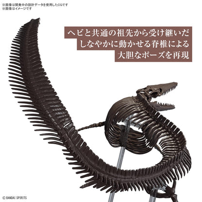 Japan 1/32 Imaginary Skeleton Dinosaur  Mosasaurus Model Kit