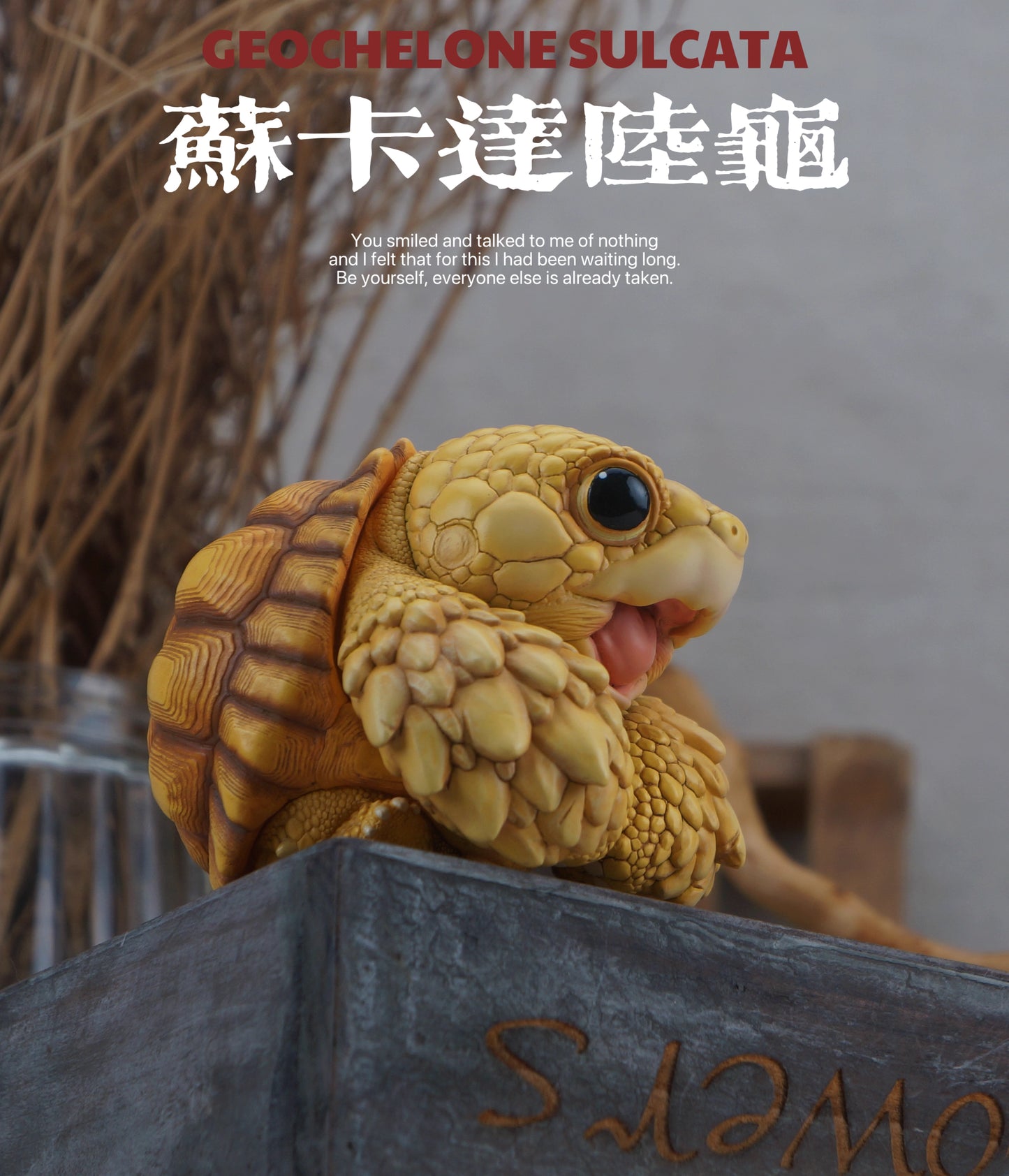 Super Q African Sulcata tortoise turtle Resin Replica Model Figurine Figure (Pre-order)