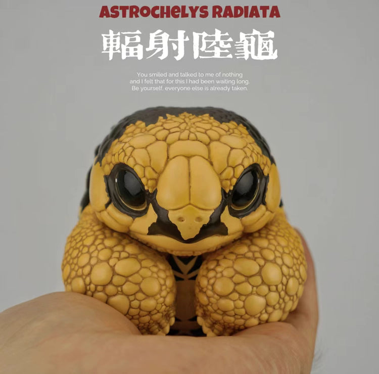 Super Q Radiated tortoise turtle Resin Replica Model Figurine Figure (pre-order)