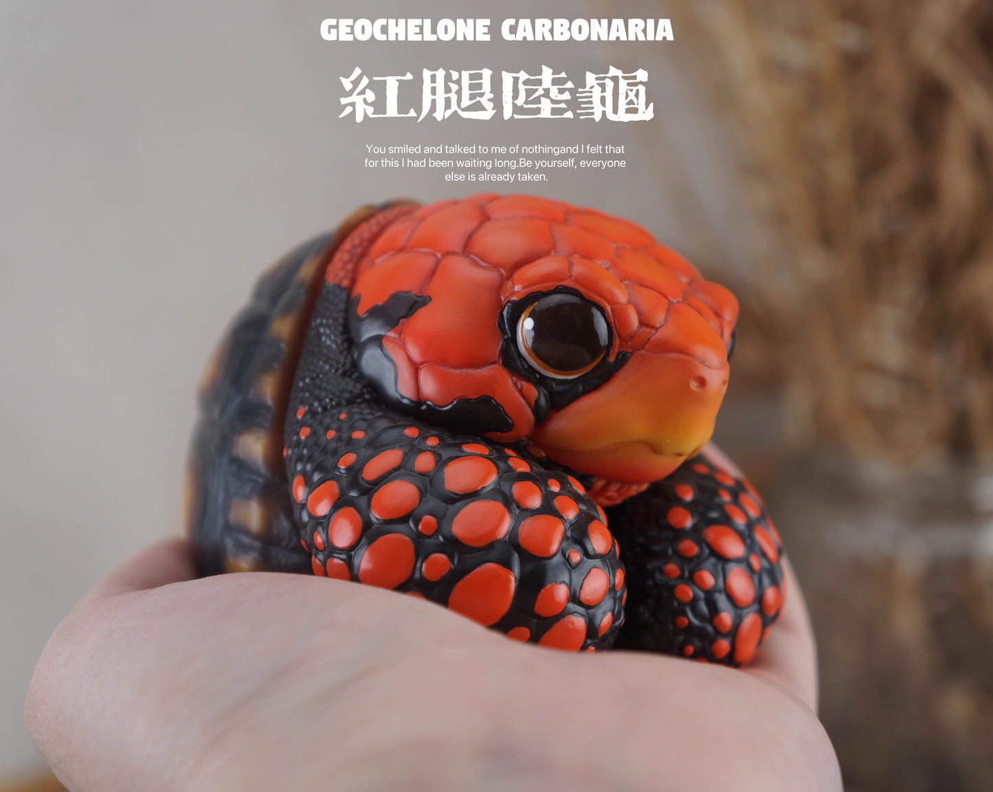 Super Q Red footed tortoise turtle Resin Replica Model Figurine Figure