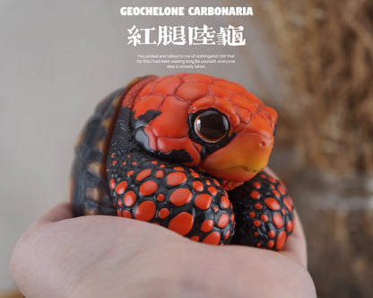 Super Q Red footed tortoise turtle Resin Replica Model Figurine Figure