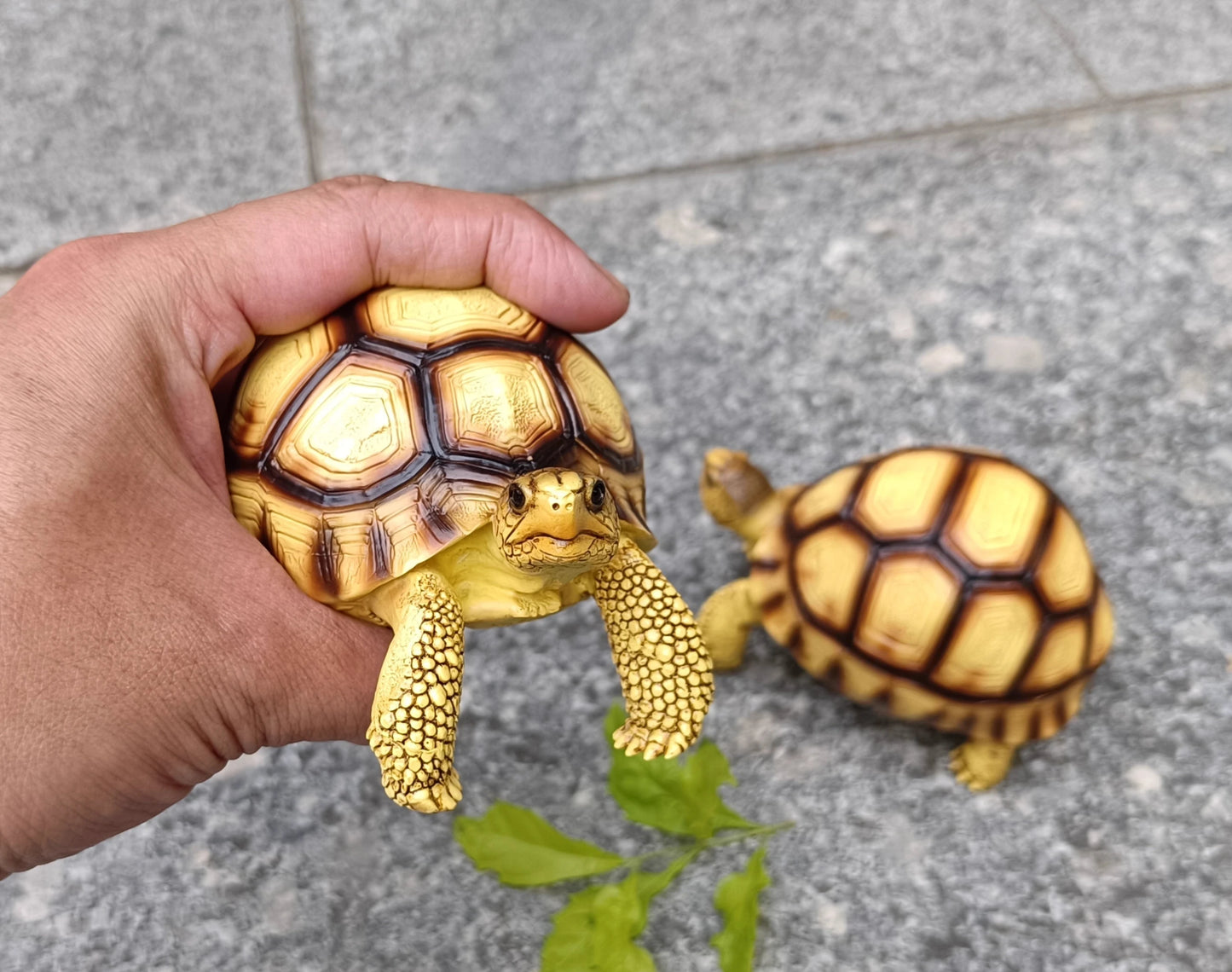 Angonoka Tortoise Resin Replica Figure Model Figurine 11.5cm 2024