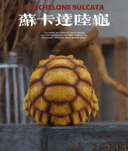 Super Q African Sulcata tortoise turtle Resin Replica Model Figurine Figure (Pre-order)