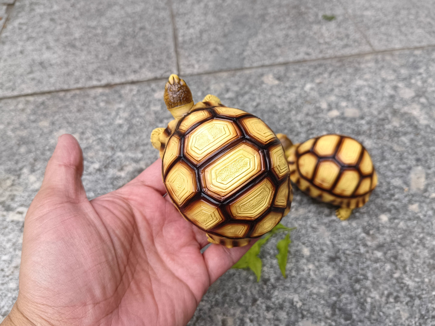 Angonoka Tortoise Resin Replica Figure Model Figurine 11.5cm 2024