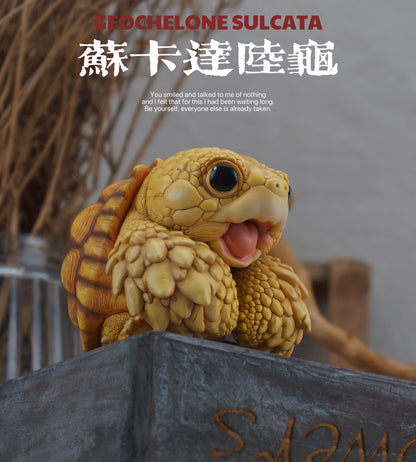 Super Q African Sulcata tortoise turtle Resin Replica Model Figurine Figure (Pre-order)