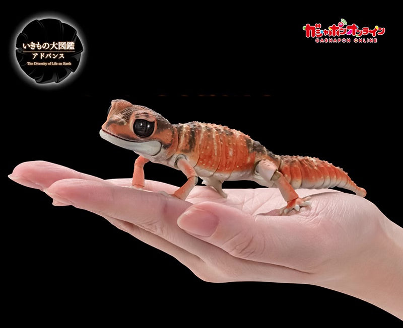 Japan Common smooth knob-tailed gecko (red) lizard PVC Action Figure model with 24 joints