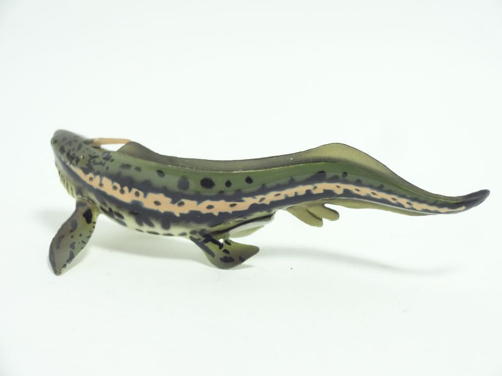 Retired Kaiyodo Choco Egg DINOTALES Xenacanthus Shark Dinosaur PVC mini figure model