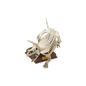 Japan Kitan Dinosaur Triceratops Skeleton Fossil (White) PVC figurine figure model with base