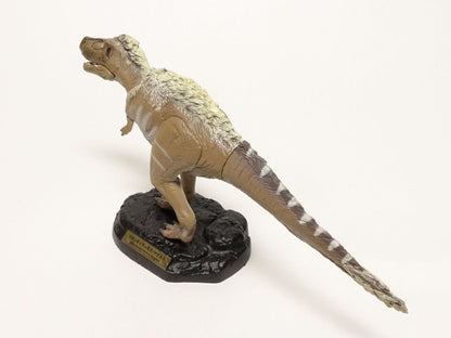 Japan Retired Feather T-rex Dinosaur PVC mini figure figurine Model