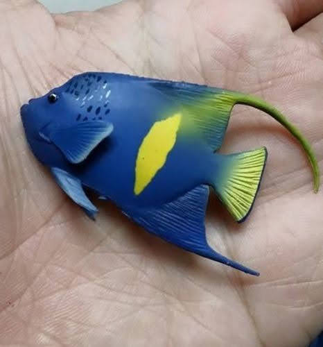 Japan Kaiyodo Aquarium exclusive yellowbar angelfish half-moon angelfish fish PVC mini figure figurine Model (no base)