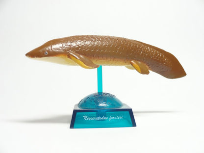 Japan Epoch Australian lungfish Fish PVC mini figure model capsule