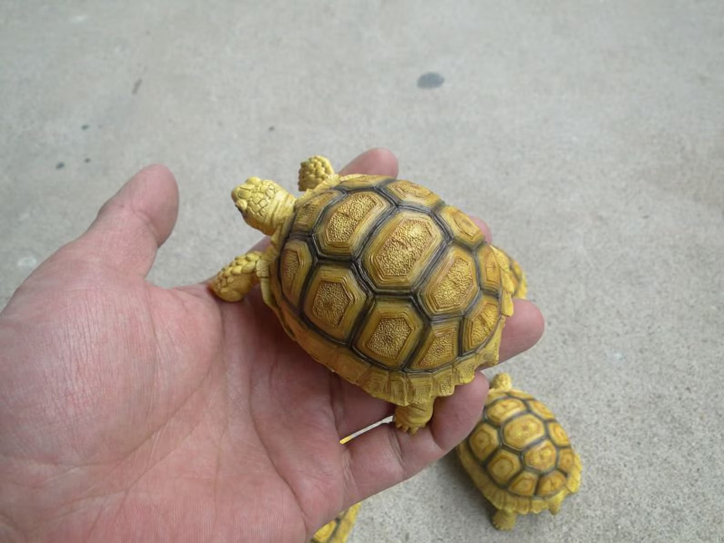 1:1 Life Size Baby Geochelone sulcata Tortoise Turtle Replica Model Figurine