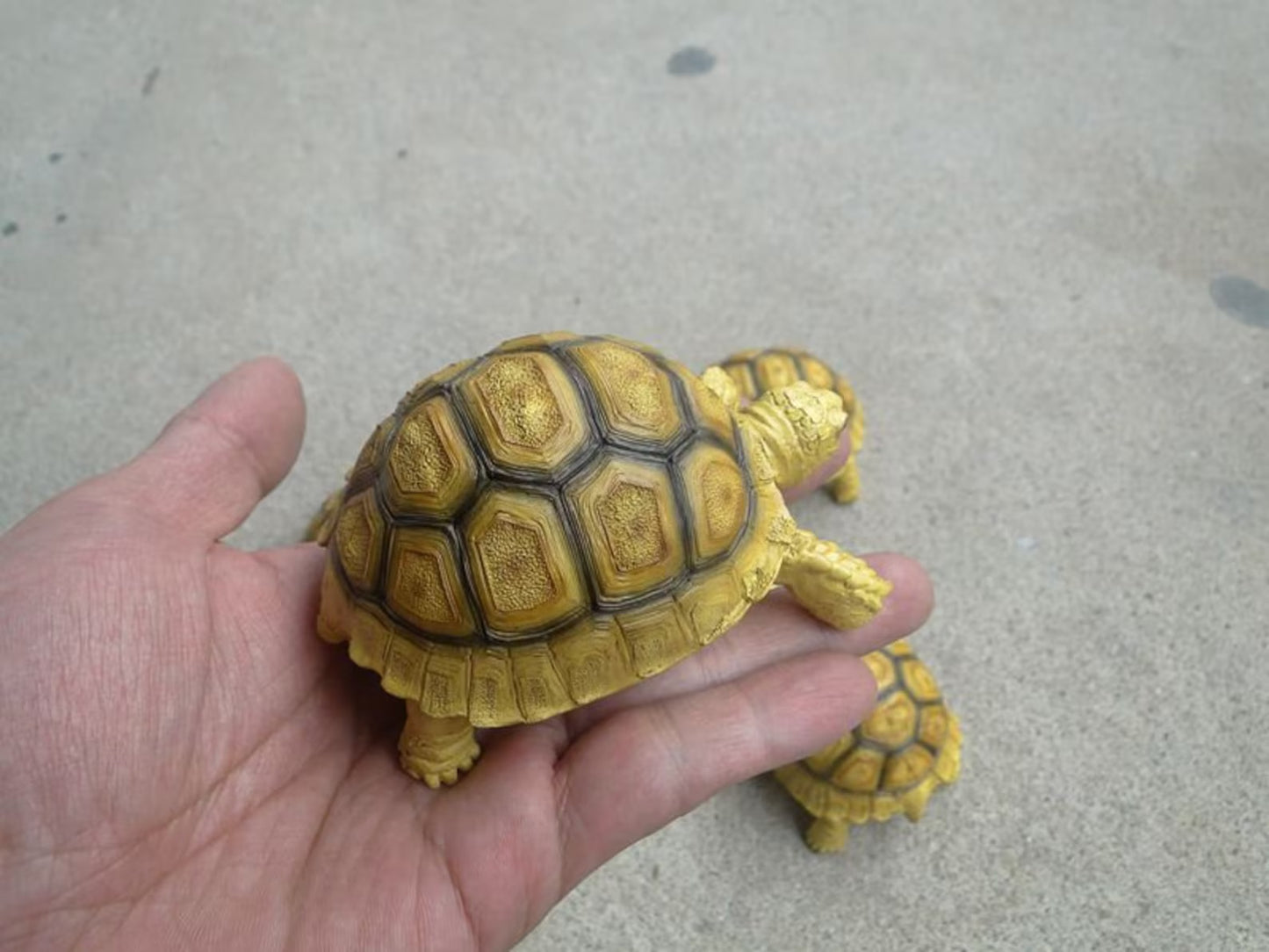 1:1 Life Size Baby Geochelone sulcata Tortoise Turtle Replica Model Figurine