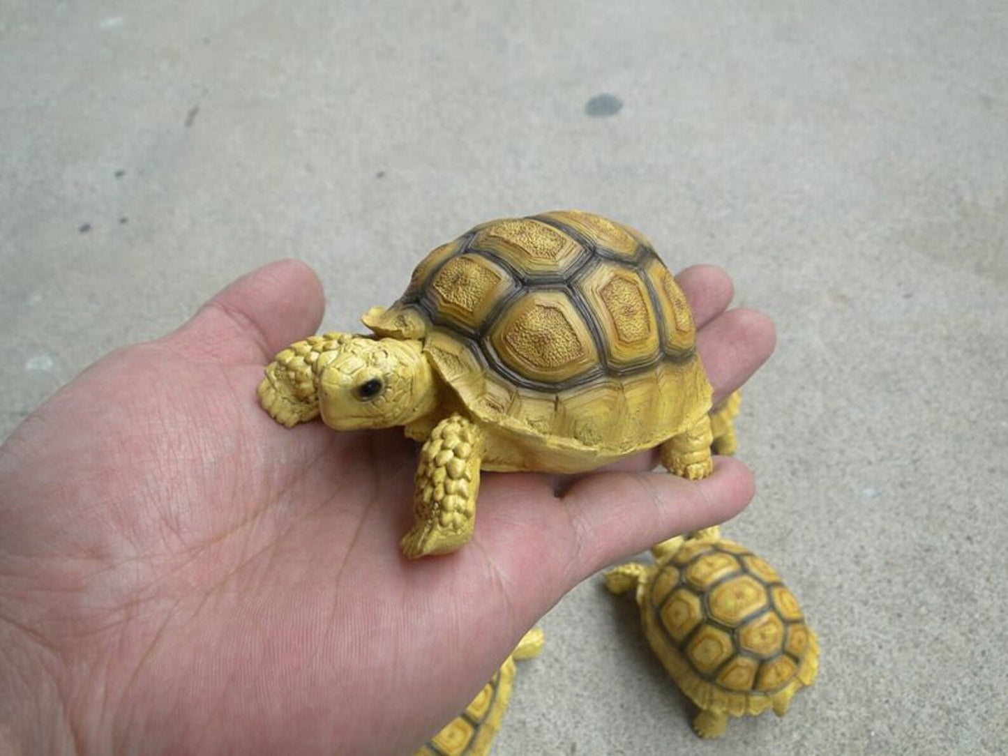 1:1 Life Size Baby Geochelone sulcata Tortoise Turtle Replica Model Figurine