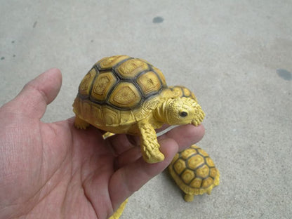 1:1 Life Size Baby Geochelone sulcata Tortoise Turtle Replica Model Figurine