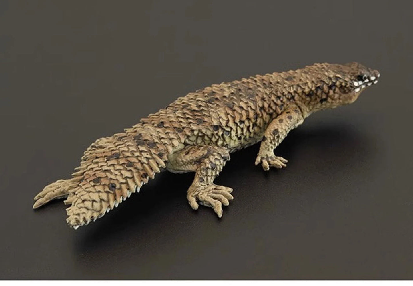 pygmy spiny-tailed skink Lizard PVC solid figure figurine model