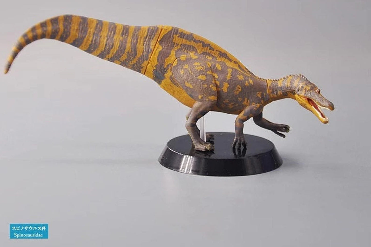 Fukui Prefectural Dinosaur Museum exclusive Spinosauridae Dinosaur PVC figure model