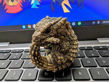 Japan Armadillo Girdled Lizard PVC hollowed figure model toy