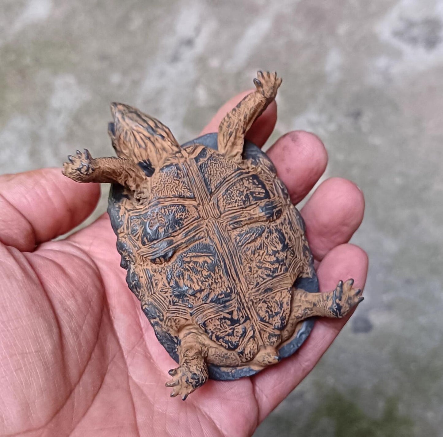 Life Size Baby Galápagos Galapagos Giant Land Tortoise Resin Replica Model Figurine 9cm